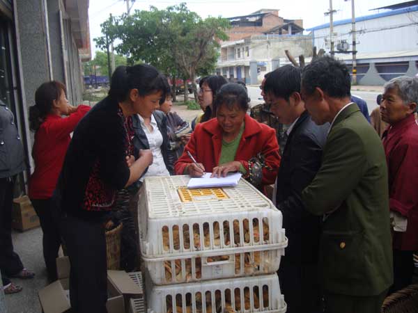 屏錦鎮(zhèn)：關(guān)注困難戶增收 贈送雞苗助發(fā)展