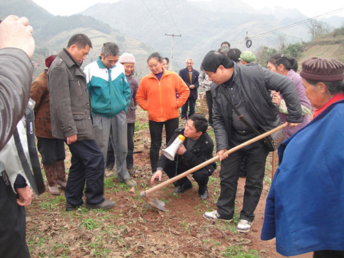 圖為縣林業(yè)局為大觀鎮(zhèn)村民指導油茶種植情況