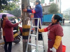 袁驛鎮(zhèn)清除街道“牛皮癬” 場鎮(zhèn)舊貌換新顏